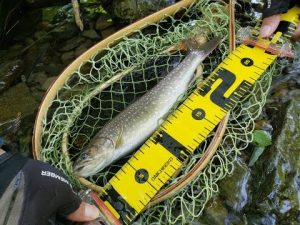 【釣り】#3 県内トップの自然豊かな川［19/07/24］岩手渓流 Japan River Fishing LIVE: ルアー GoPro HERO7