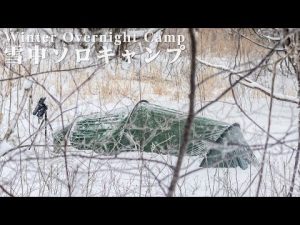 【雪中ソロキャンプ】Solo Winter Bushcraft Overnight Camp
