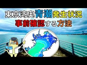 超便利！東京湾奥で海釣りに行く前に「青潮の発生」を事前に調査する方法