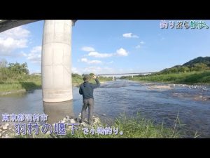 多摩川ってやっぱり凄いなぁ！モ〇〇が釣れました～！    羽村の堰下 多摩川で小物釣り。